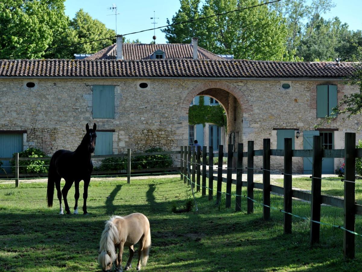 Chateau De L'Isle - Chambres D'Hotes Castelnau-de-Médoc Eksteriør billede